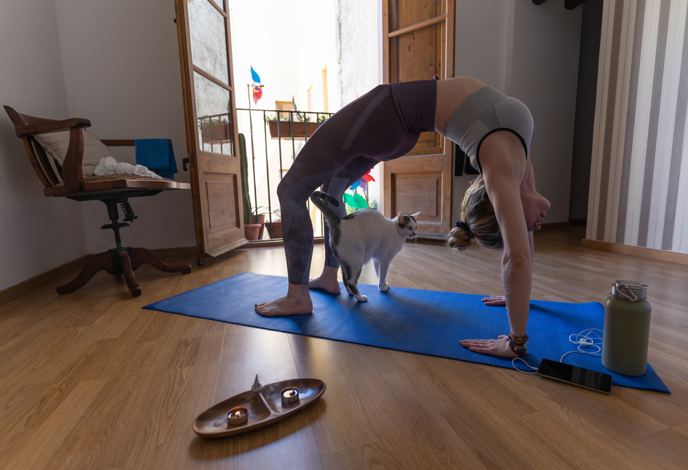 Woman doing yoga with incense and cat