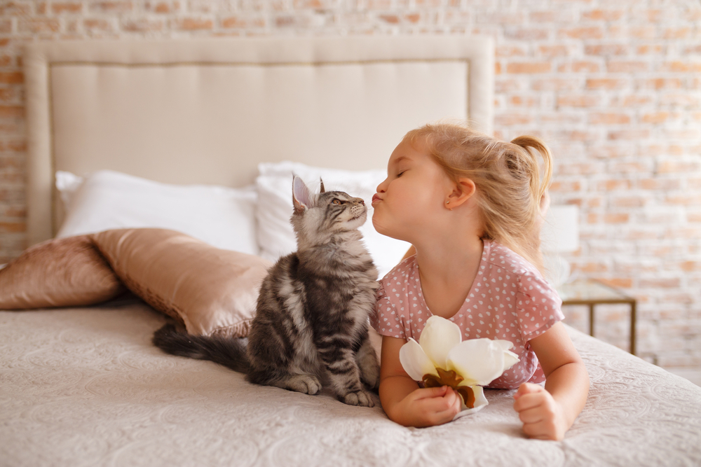 tabby katė su mielu šviesiaplaukiu vaiku ant lovos