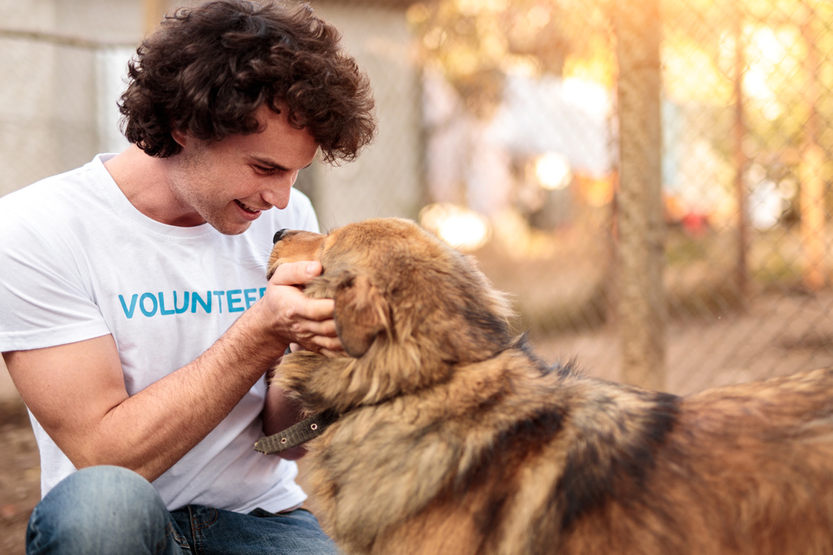 Male volunteer socializing shelter dog. i