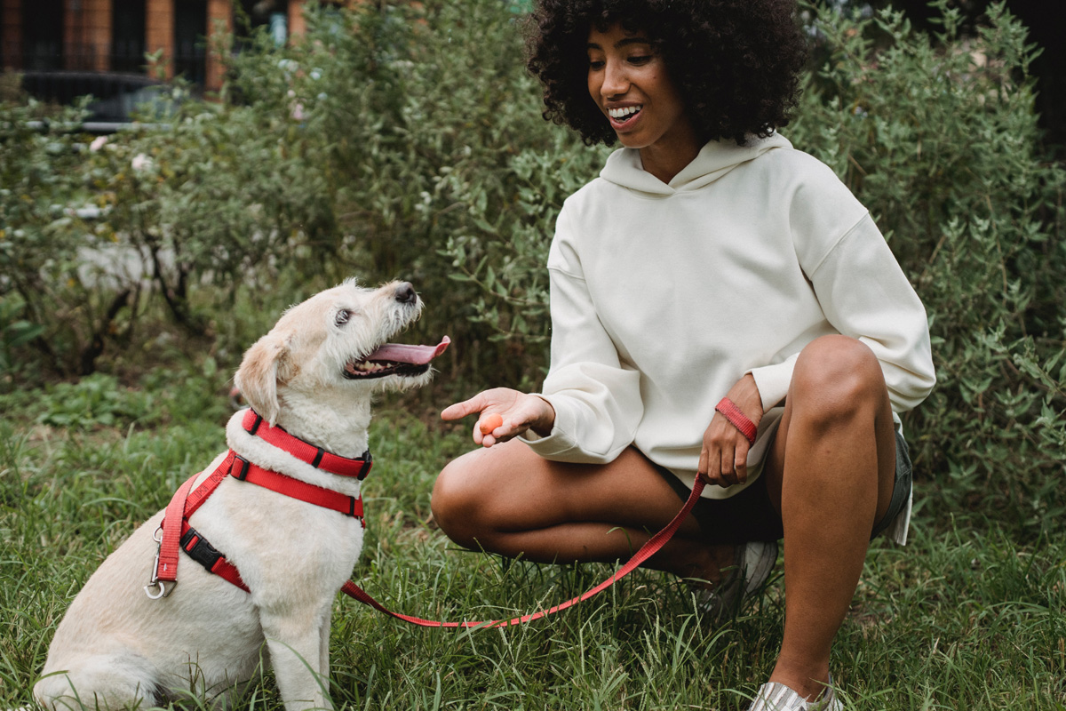 Woman giving a treat to her dog.