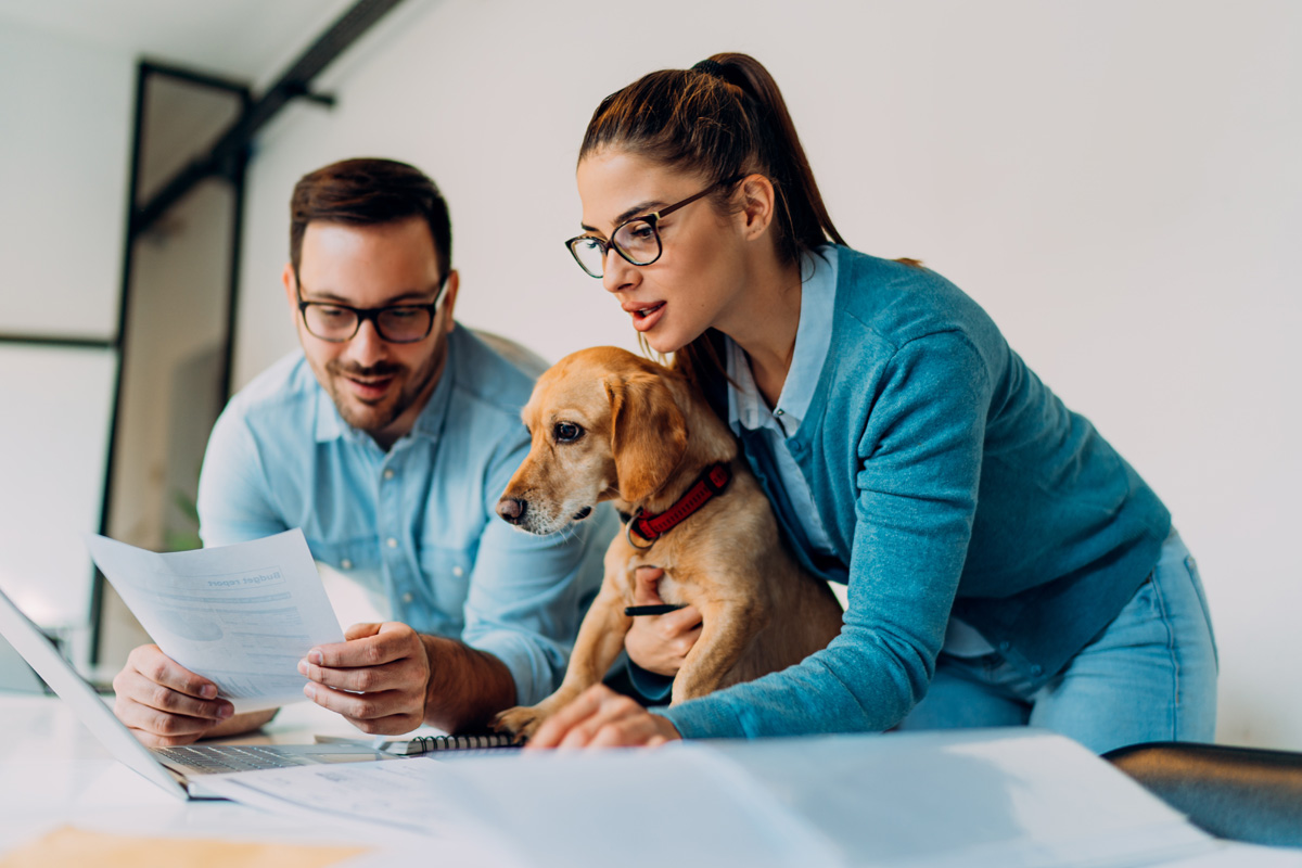 A woman and man looking at paperwork in the office with a dog.