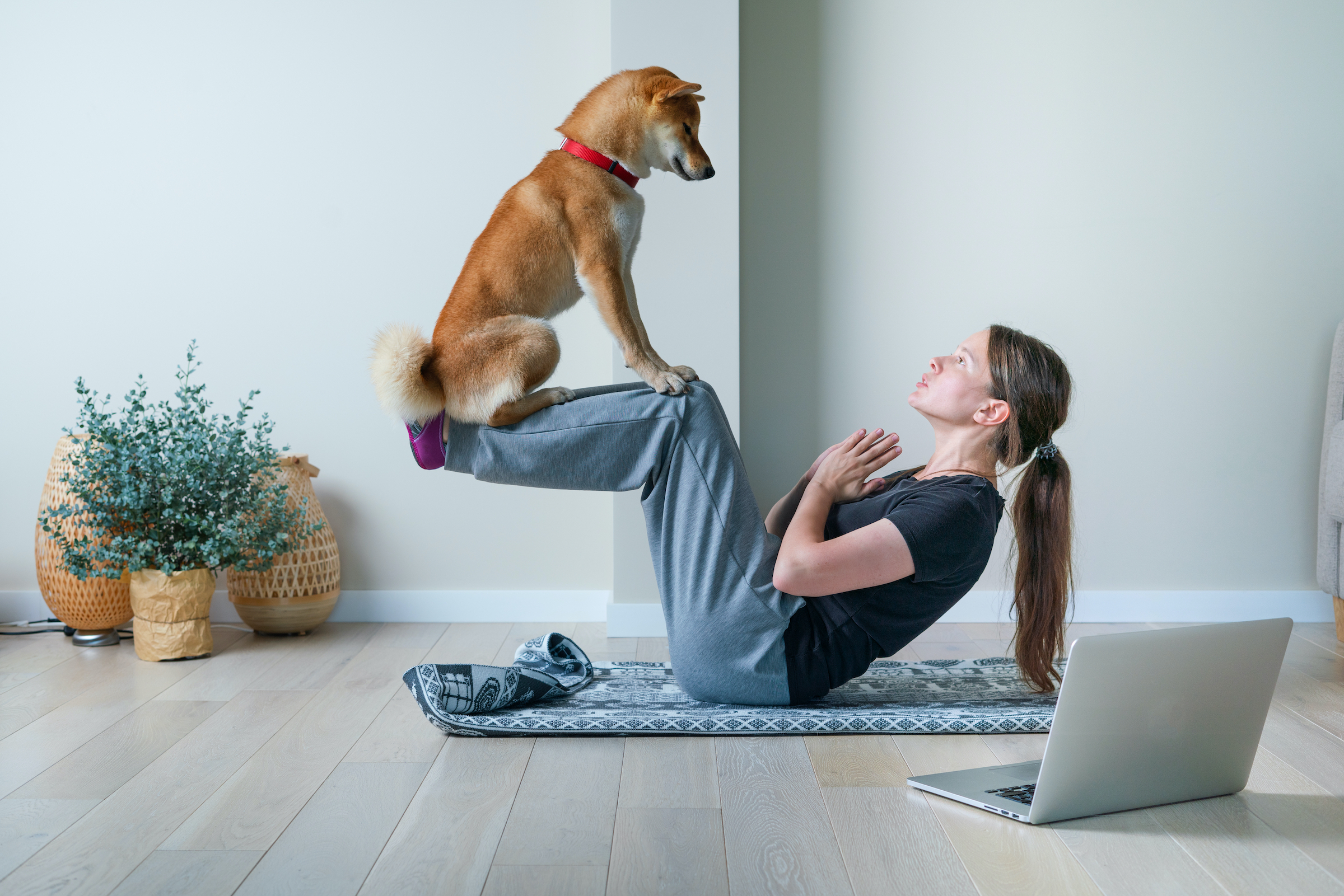 Dog Yoga: Fad or Fun Activity with your Pet? | PawTracks