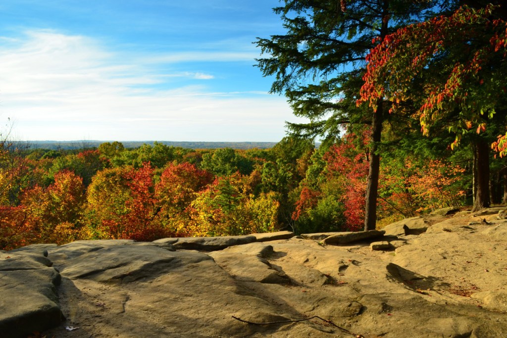 Fall colors in U.S. national park.