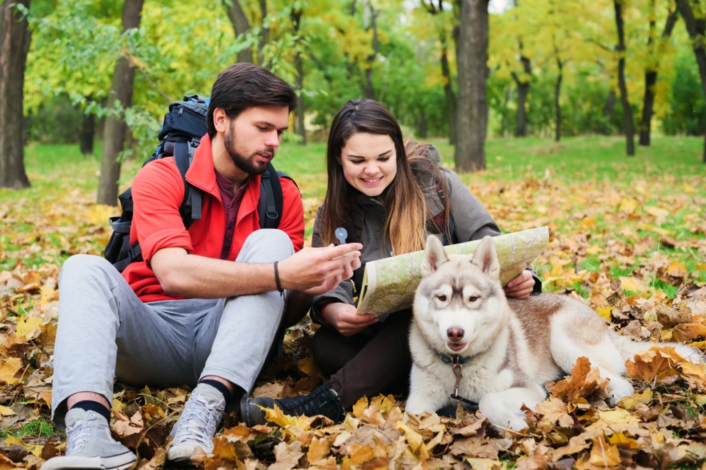 Couple looking at map on fall trail with dog.