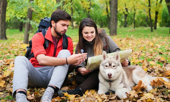 Couple looking at map on fall trail with dog.
