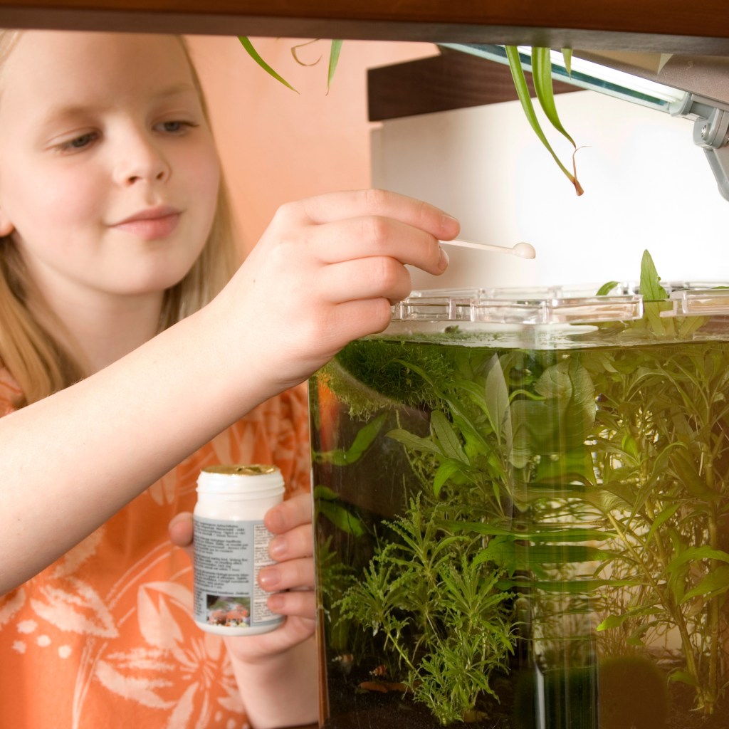 Girl adds food into her aquarium