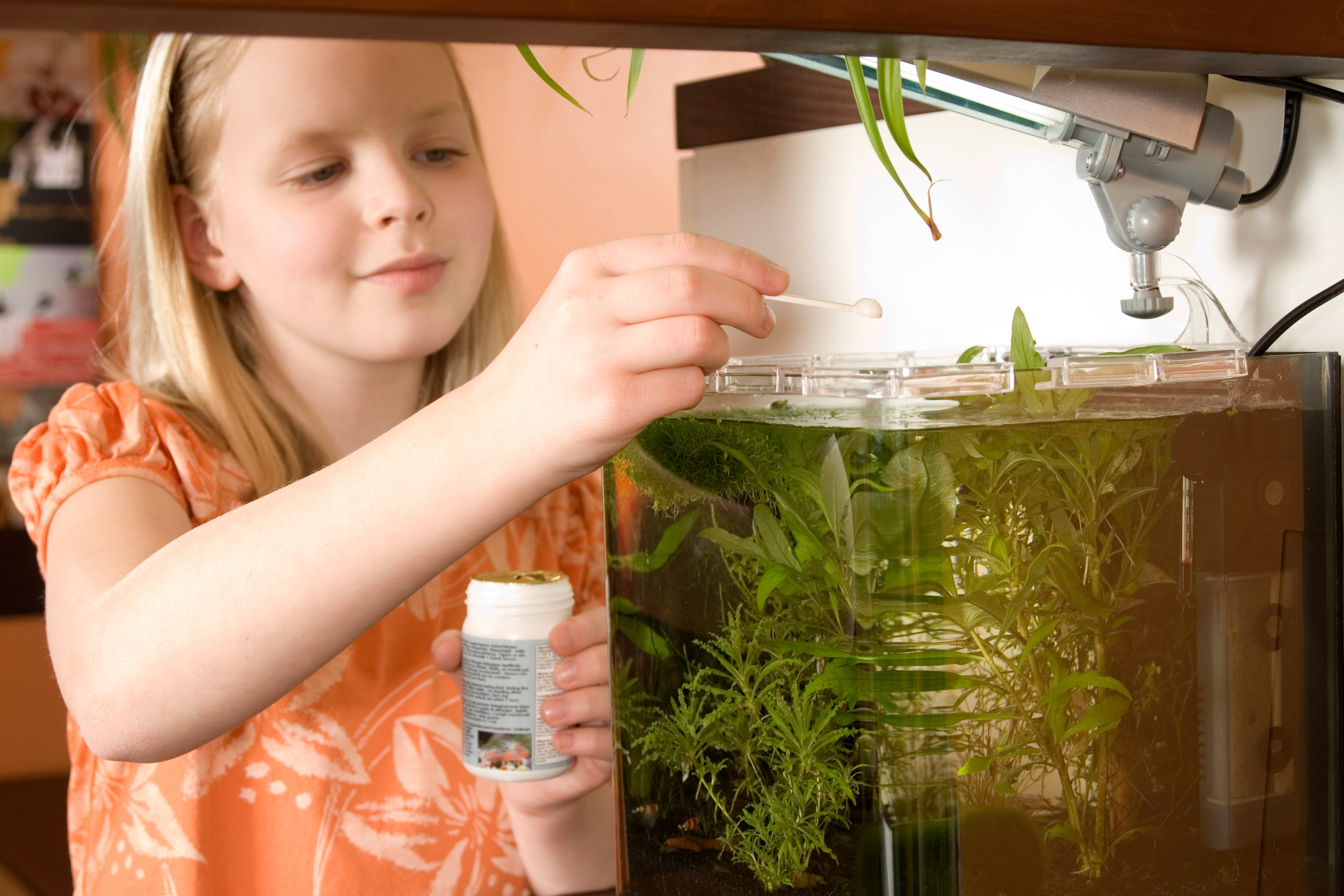 Girl adds food into her aquarium