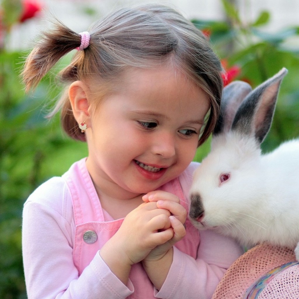 Rabbit sits on a girl's shoulder