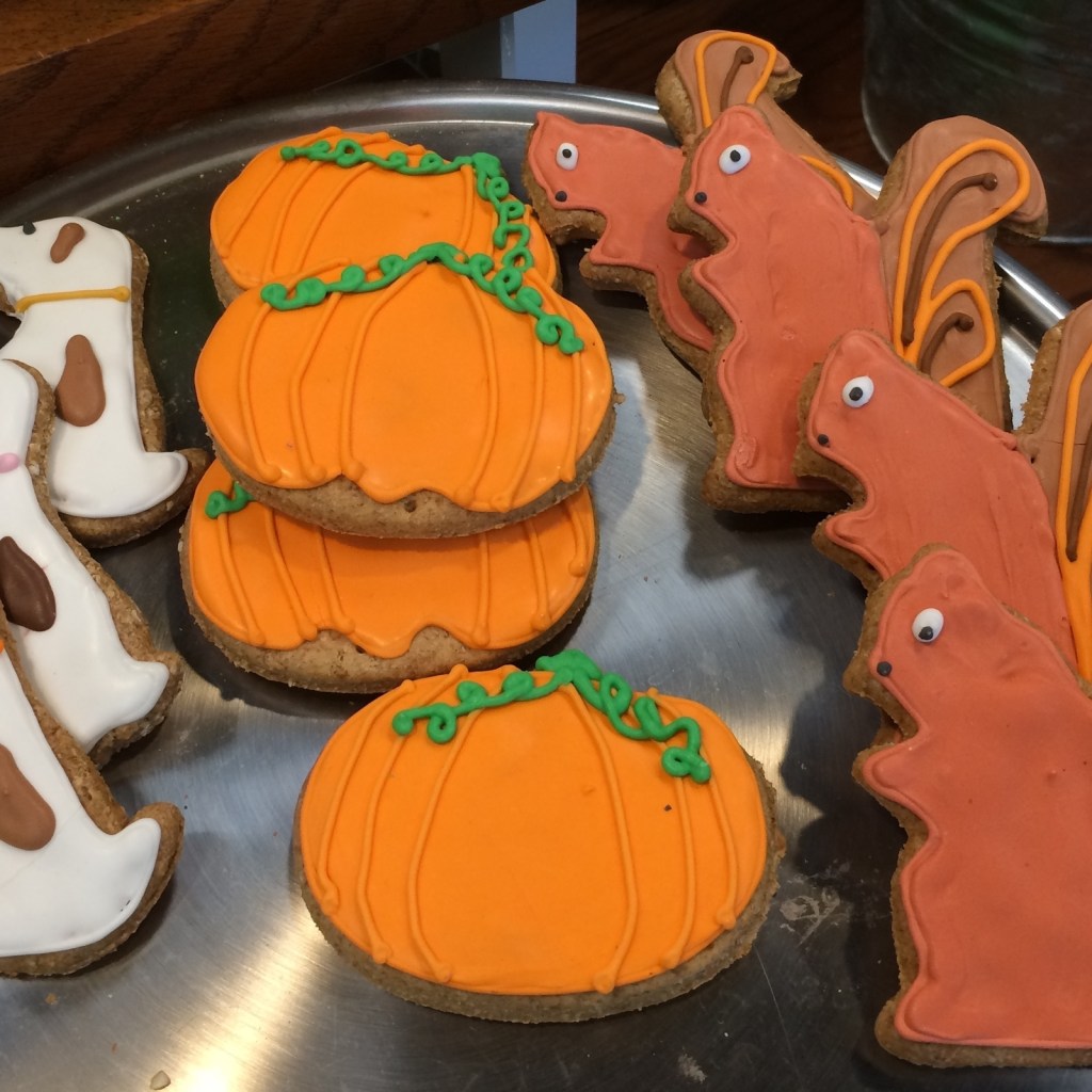 A plate of homemade autumn themed dog treats
