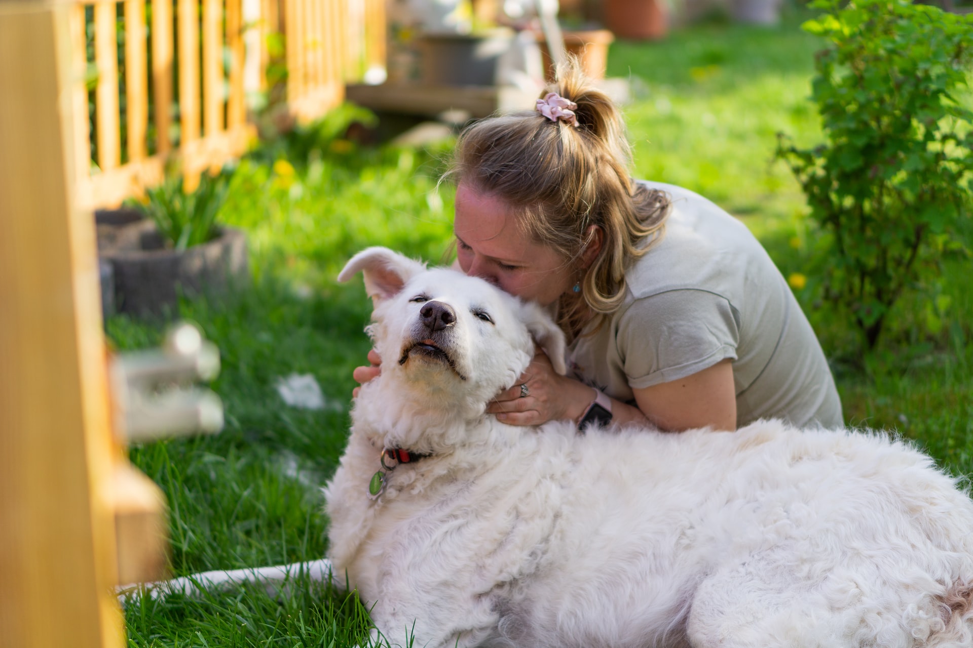 girl and white dog on green grass
