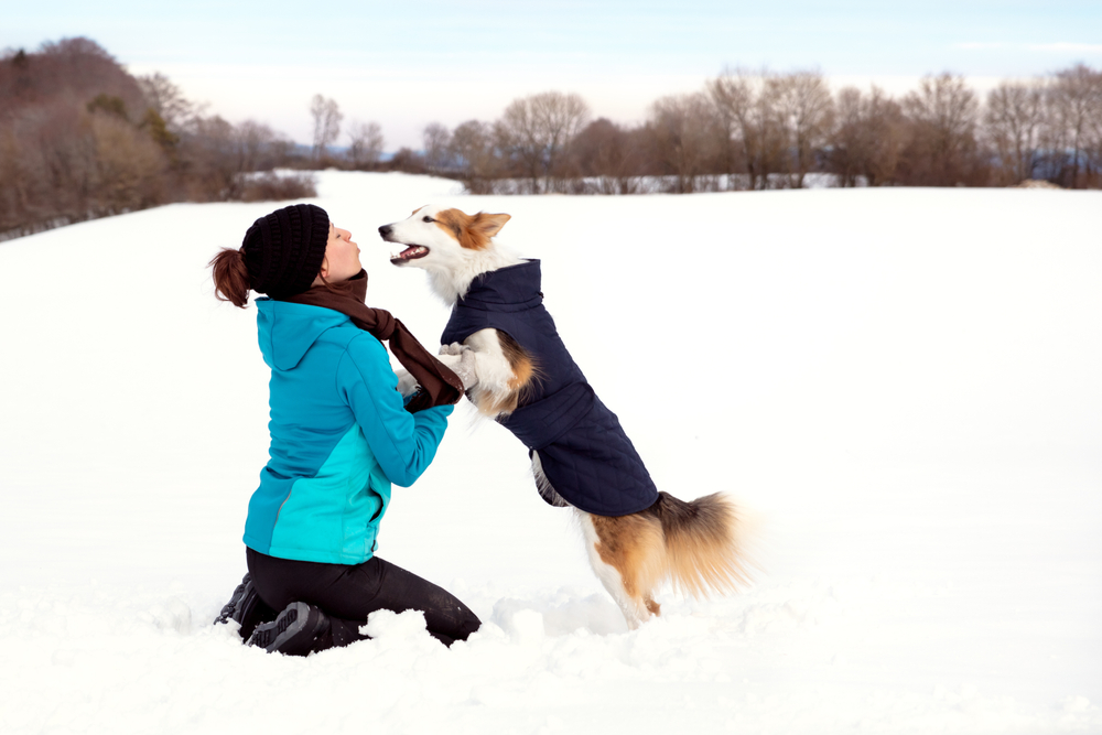 woman and dog playing in snow