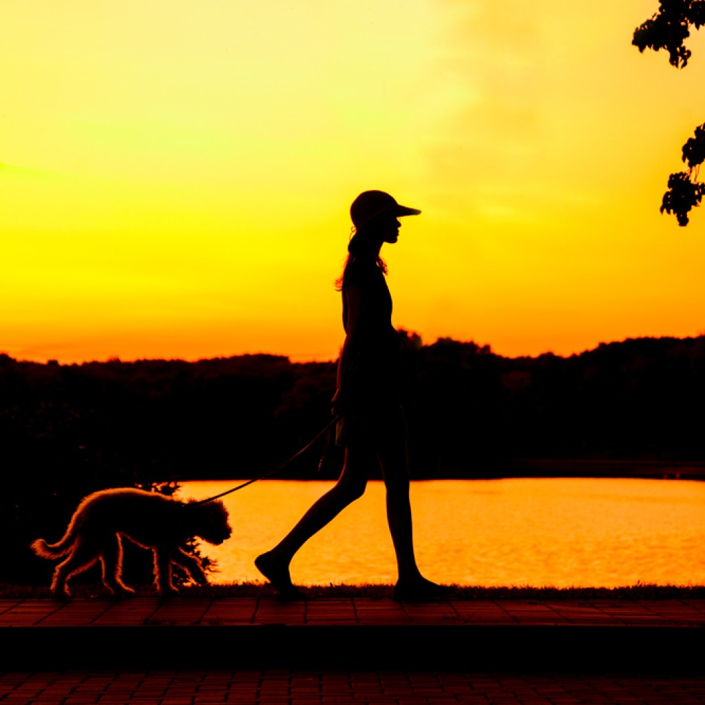 silhouette of girl walking her dog at sunset