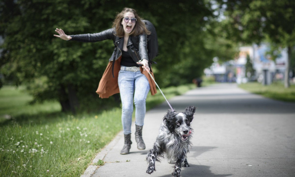 Dog on leash pulling woman