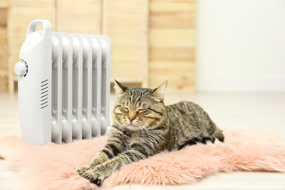 A tabby cat stretched out on a faux fur rug near a space heater.