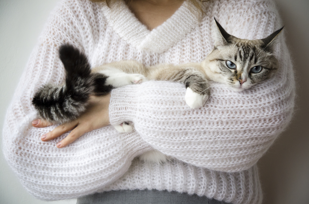 A woman in a white sweater holds a tabby cat in her arms