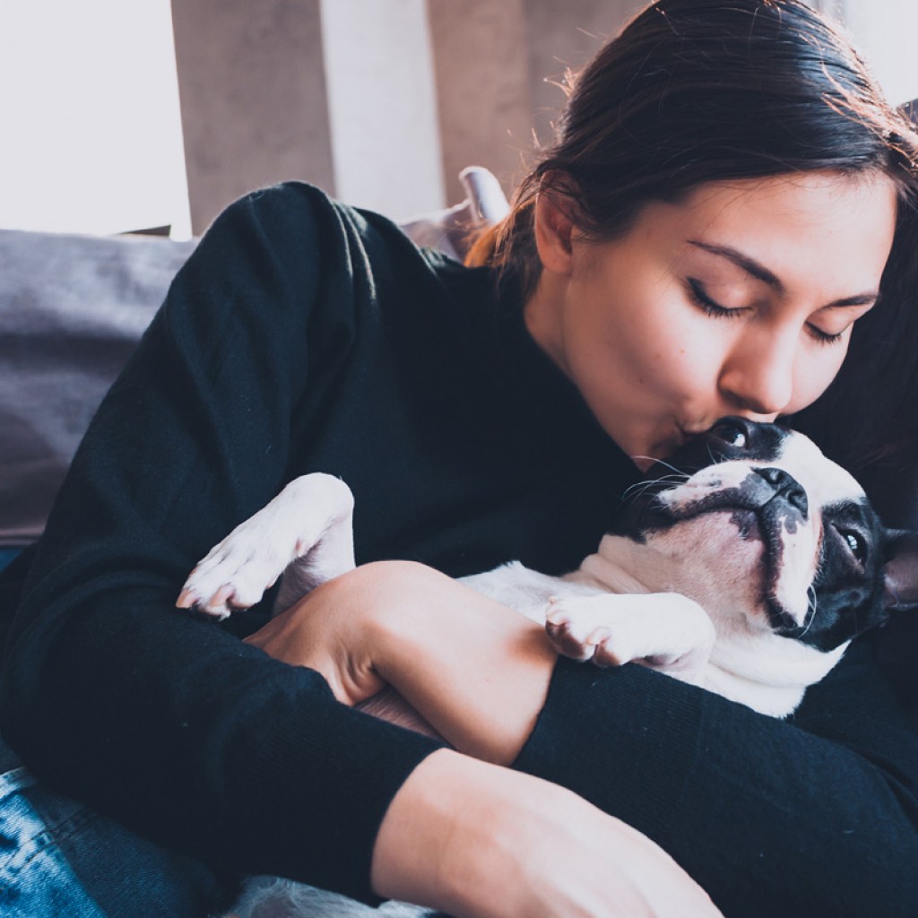 Woman kissing a Boston terrier on the couch.