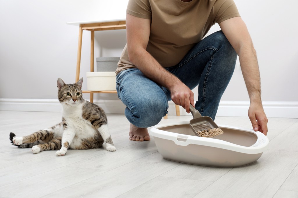 Kneeling down cleaning a litter box with a cat sitting nearby