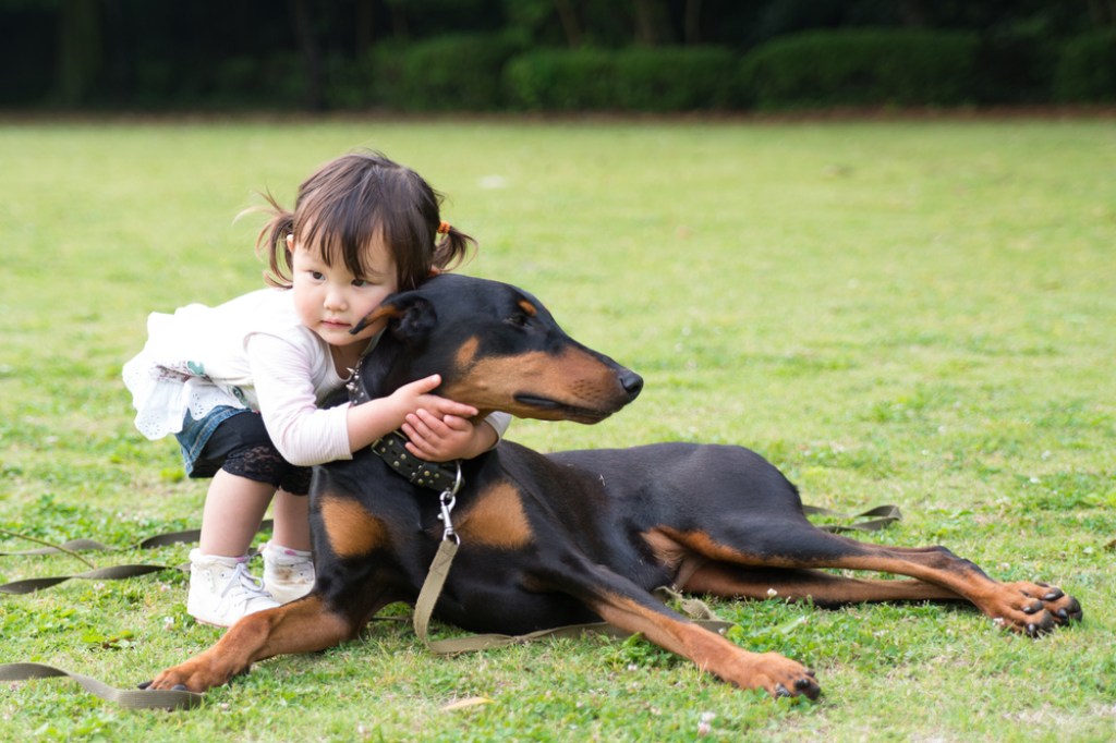 A young girl hugging a black and rust Doberman in a park.