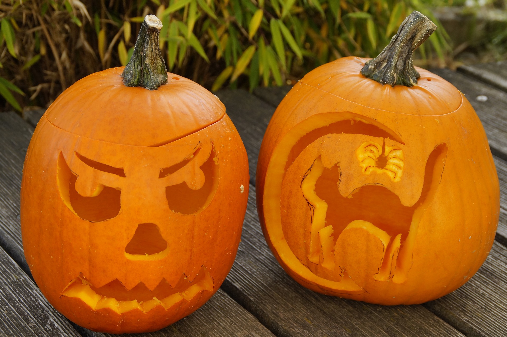 Jack o lanterns with a face and cat carving