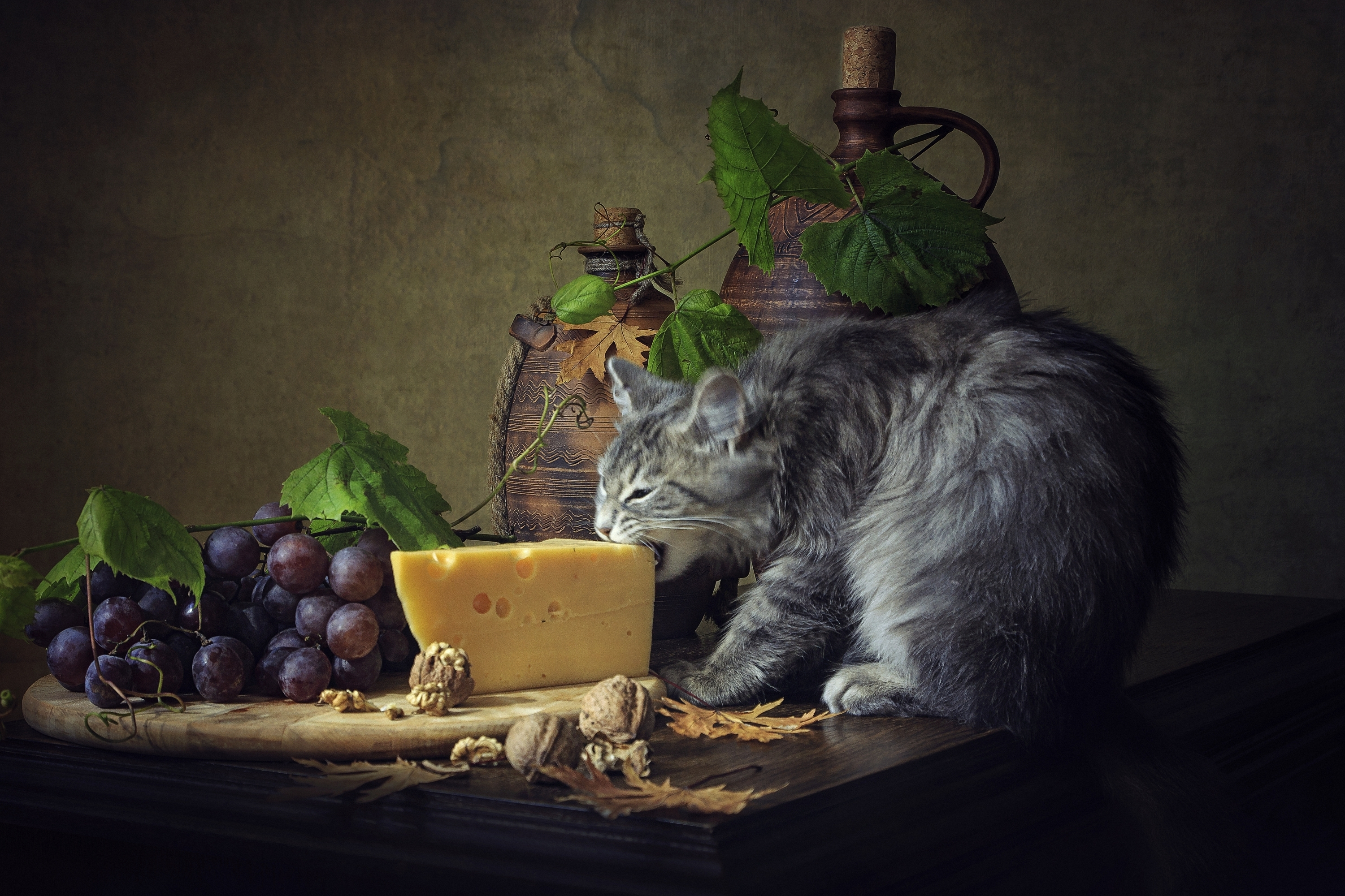 A cat munches on a piece of cheese
