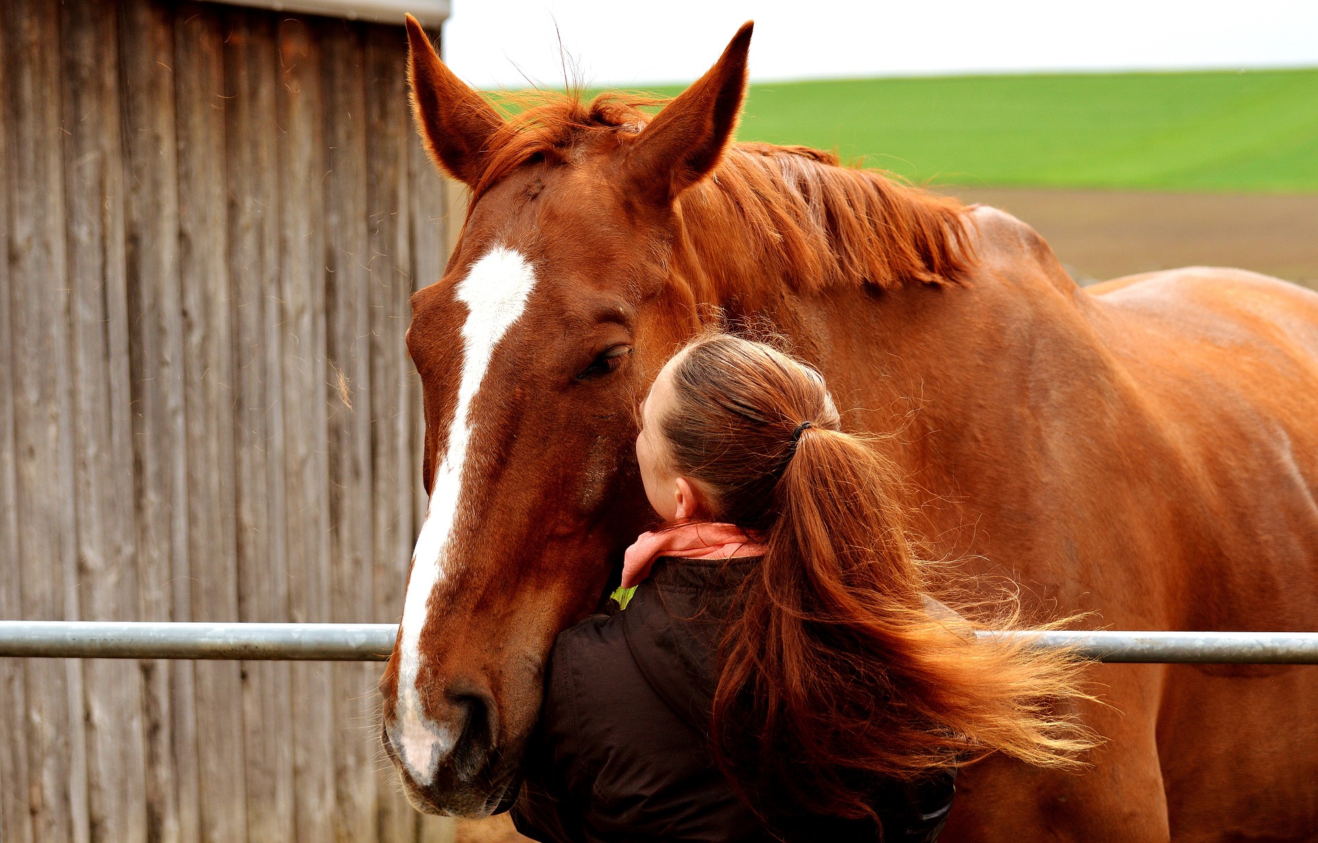 Girl kissing a chestnut horse on the cheek