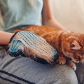 Woman grooming a cat on her lap using a grooming mitt