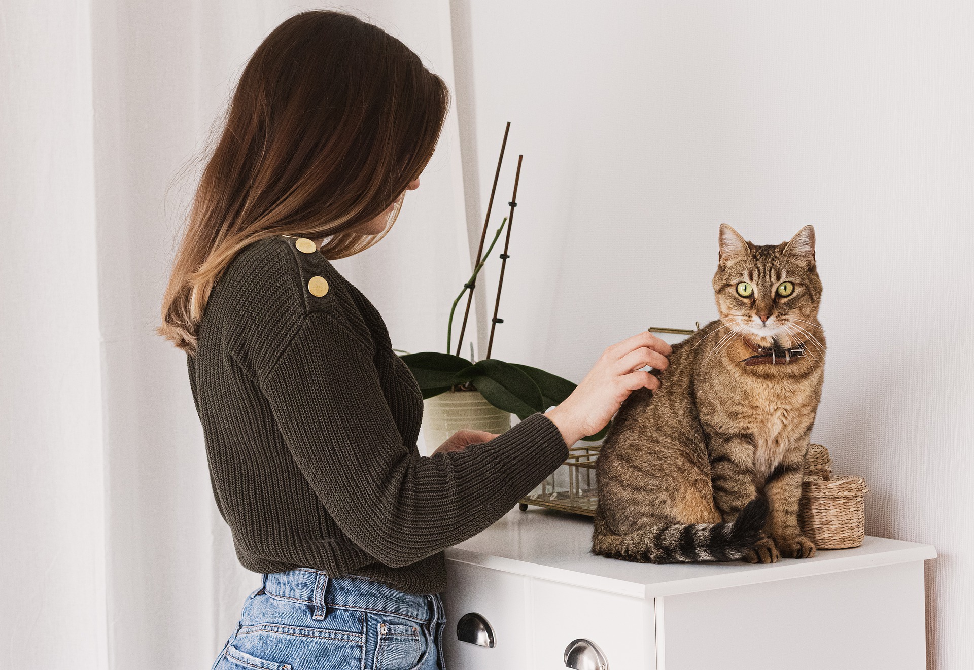 A woman patting a cat and inspecting its fur
