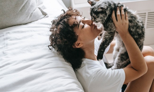 Woman kissing her cat