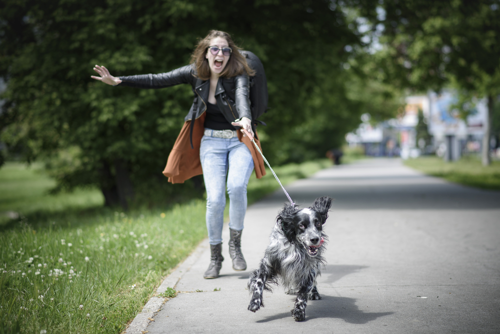A black and white dog pulls a woman down a sidewalk