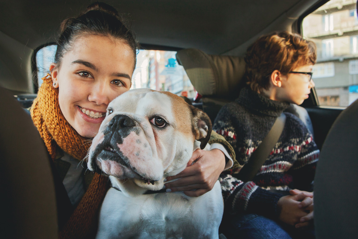Dog in back of car with kids.