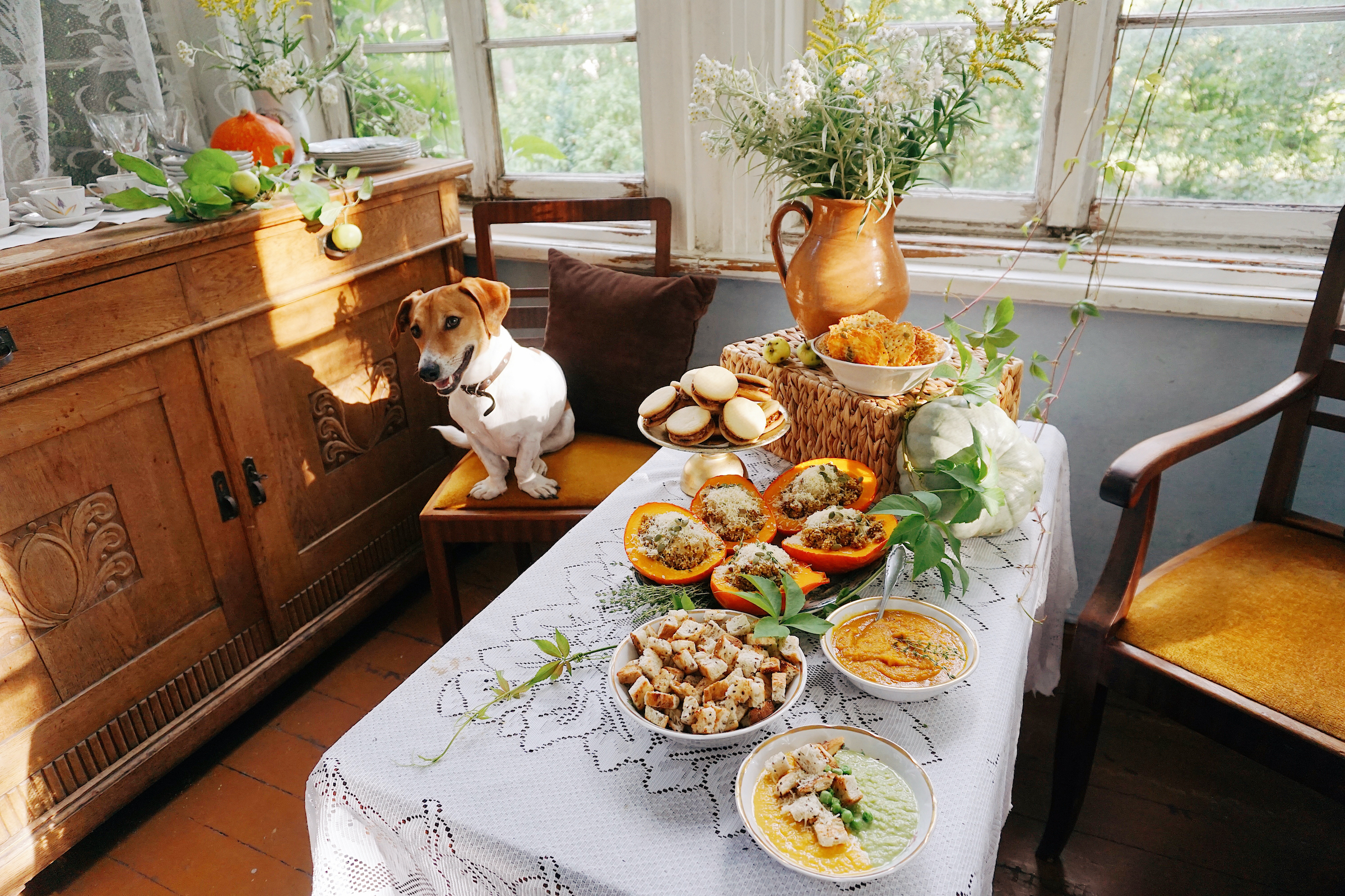A dog sits on a chair next to a dining room set for Thanksgiving