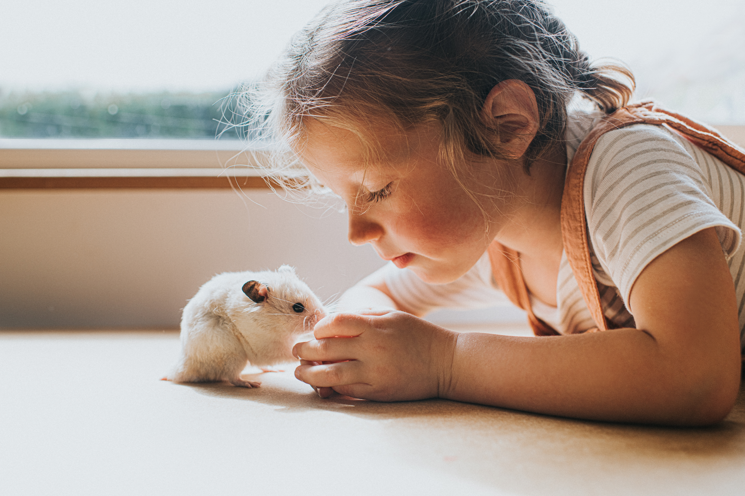  Why is my hamster shaking? When pet parents should be worried