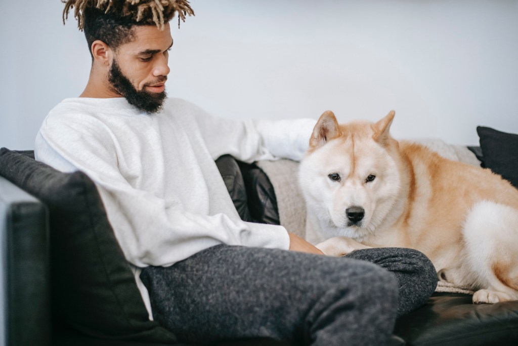 Man petting dog on couch