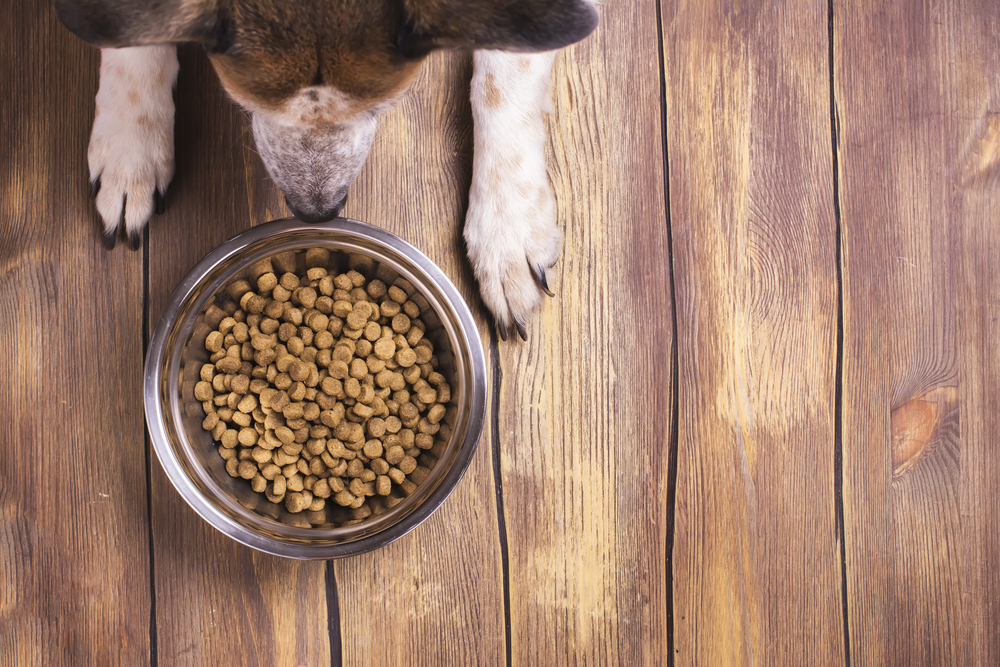 An overhead shot of a dog and a bowl of dry kibble on a wood floor.
