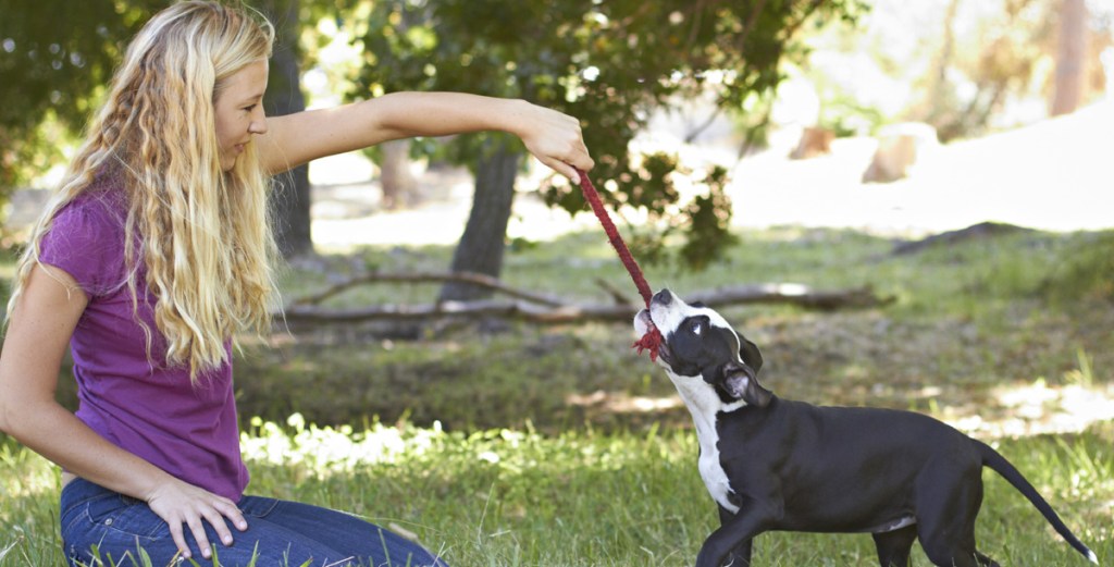 Woman playing with pup.