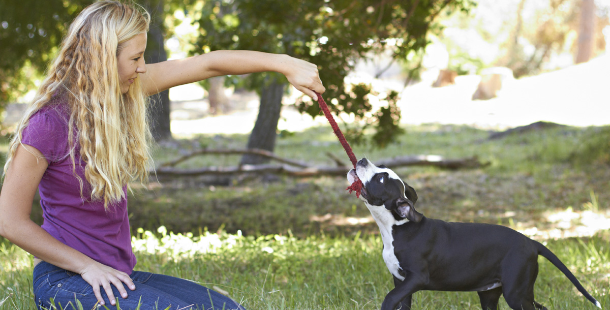 Woman playing with pup.