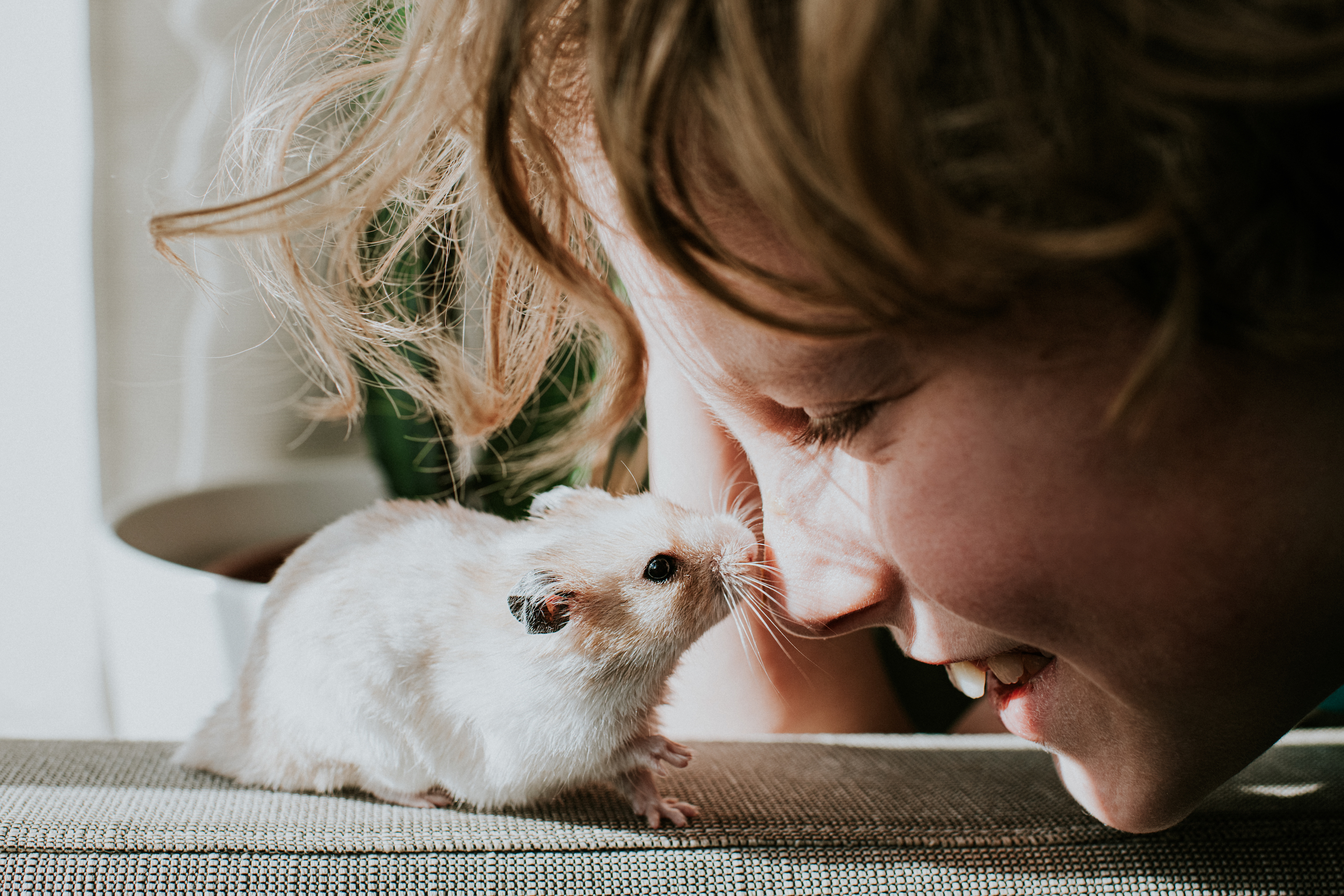 Boy smiles at his little happy hamster