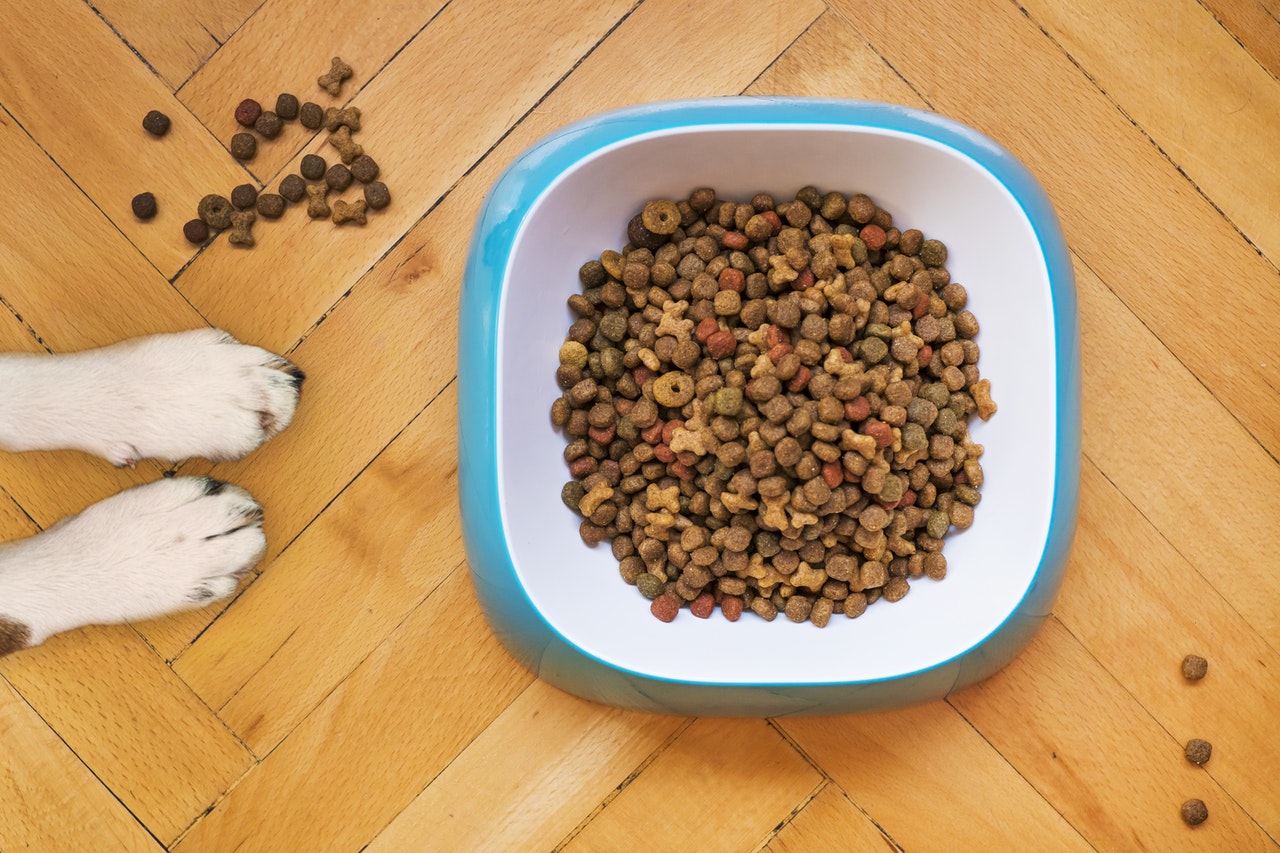 Overhead shot of dog paws and a bowl of kibble.