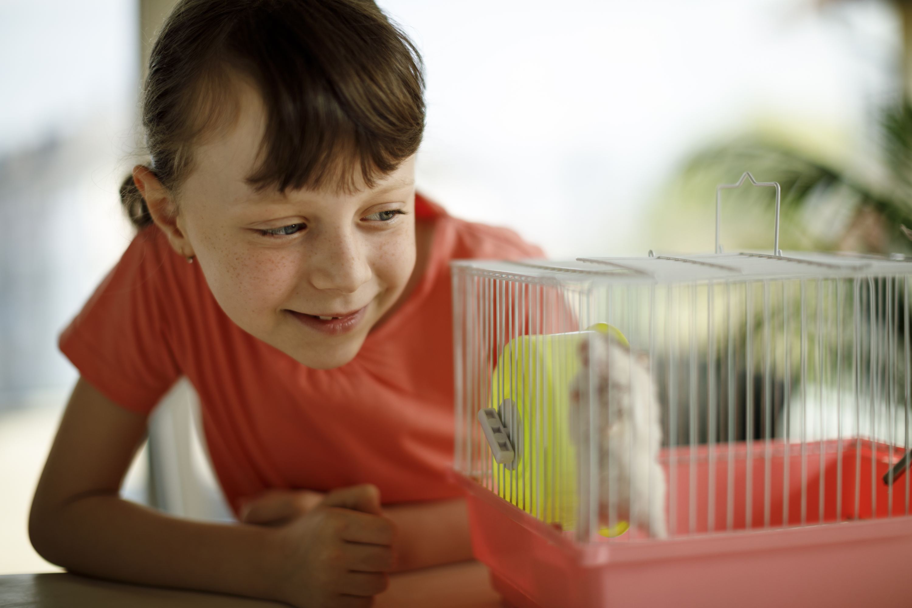 Girl plays with her hamster in his cage