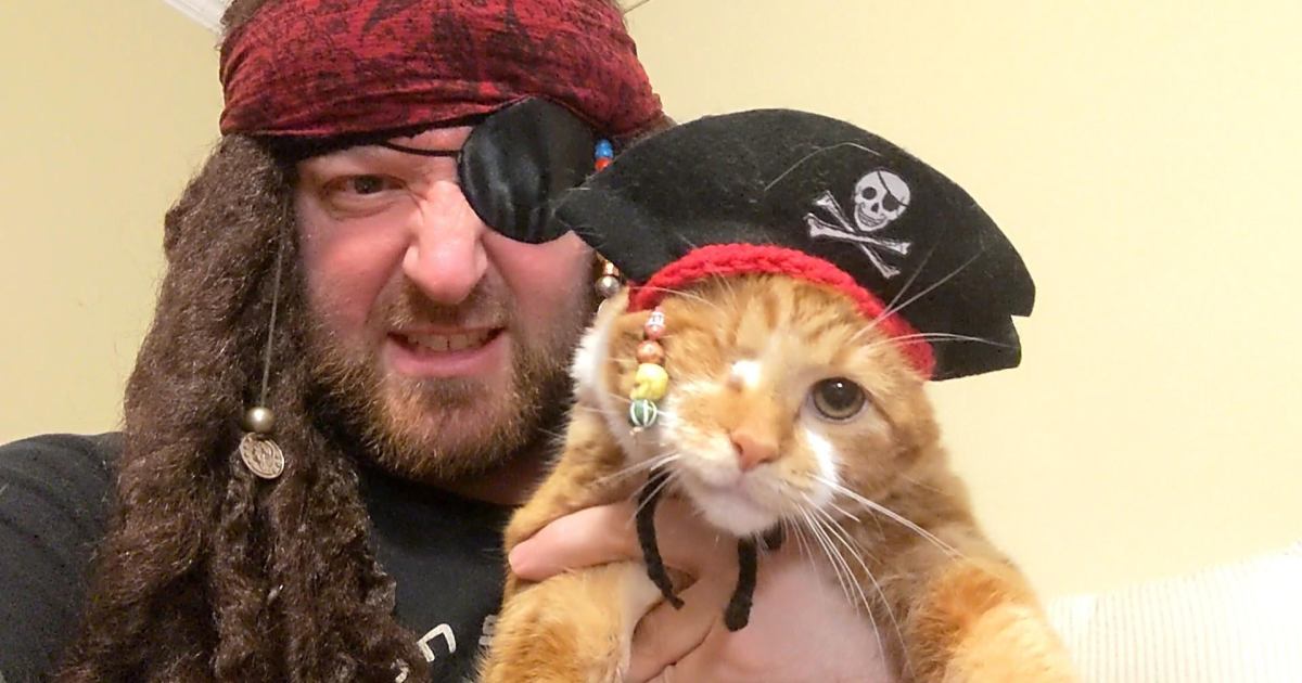 Yra „Subreddit“, skirtas „Pirate Kitties“, ir mes esame visiškai apsėsti