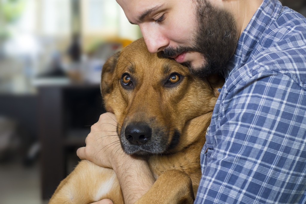 Man in a plaid shirt hugging his dog
