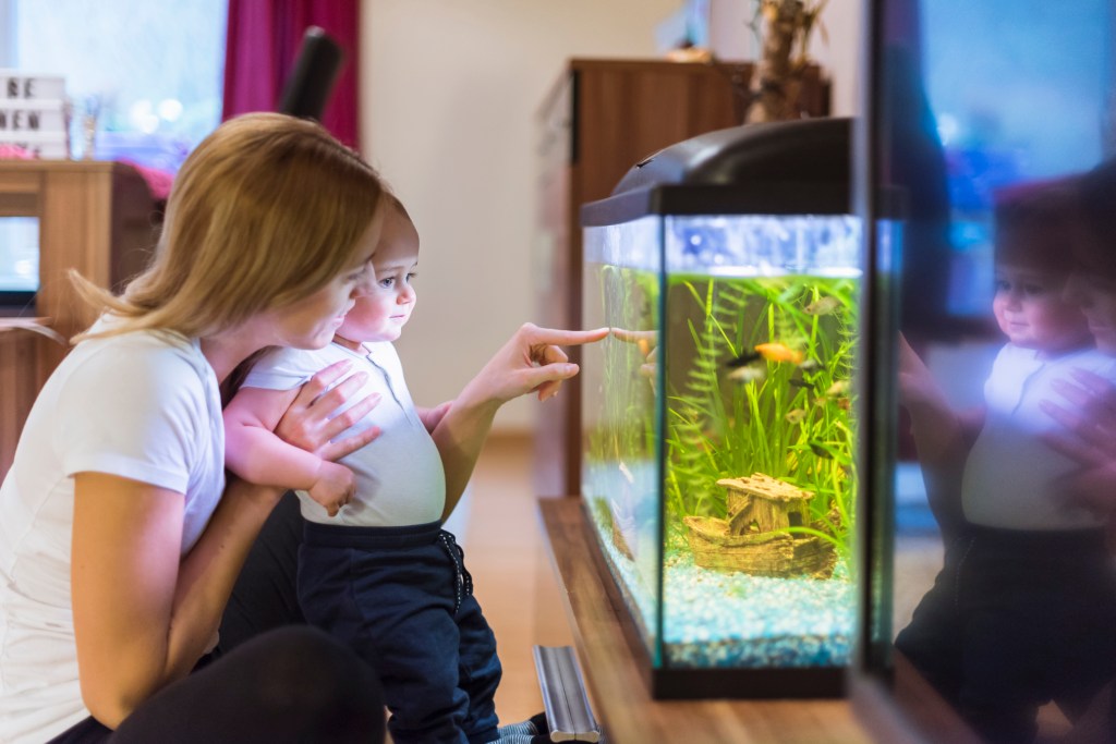 Mom and baby look into fish tank