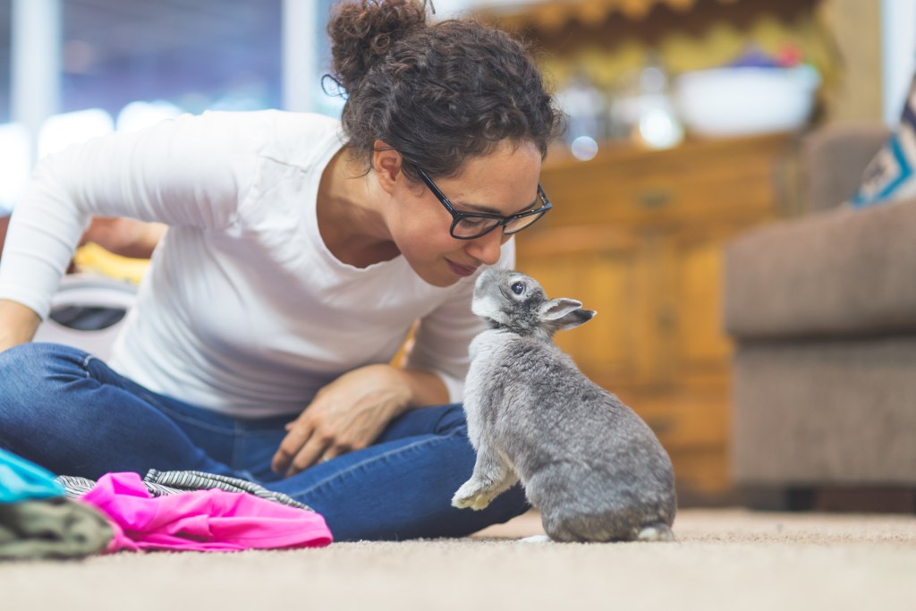 Woman folds laundry while playing with pet rabbit