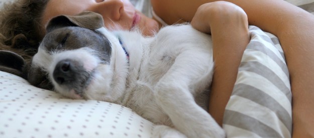 A woman snuggles with her dog in bed