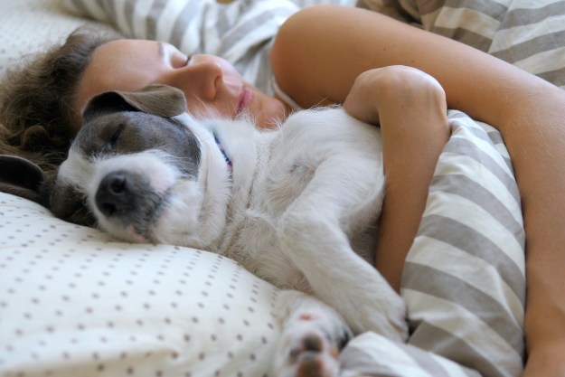 A woman snuggles with her dog in bed