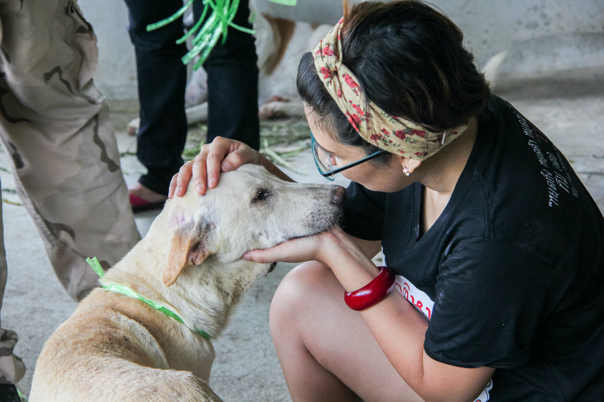 Woman pets and comforts a homeless dog on street