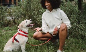 Woman petting dog outdoors