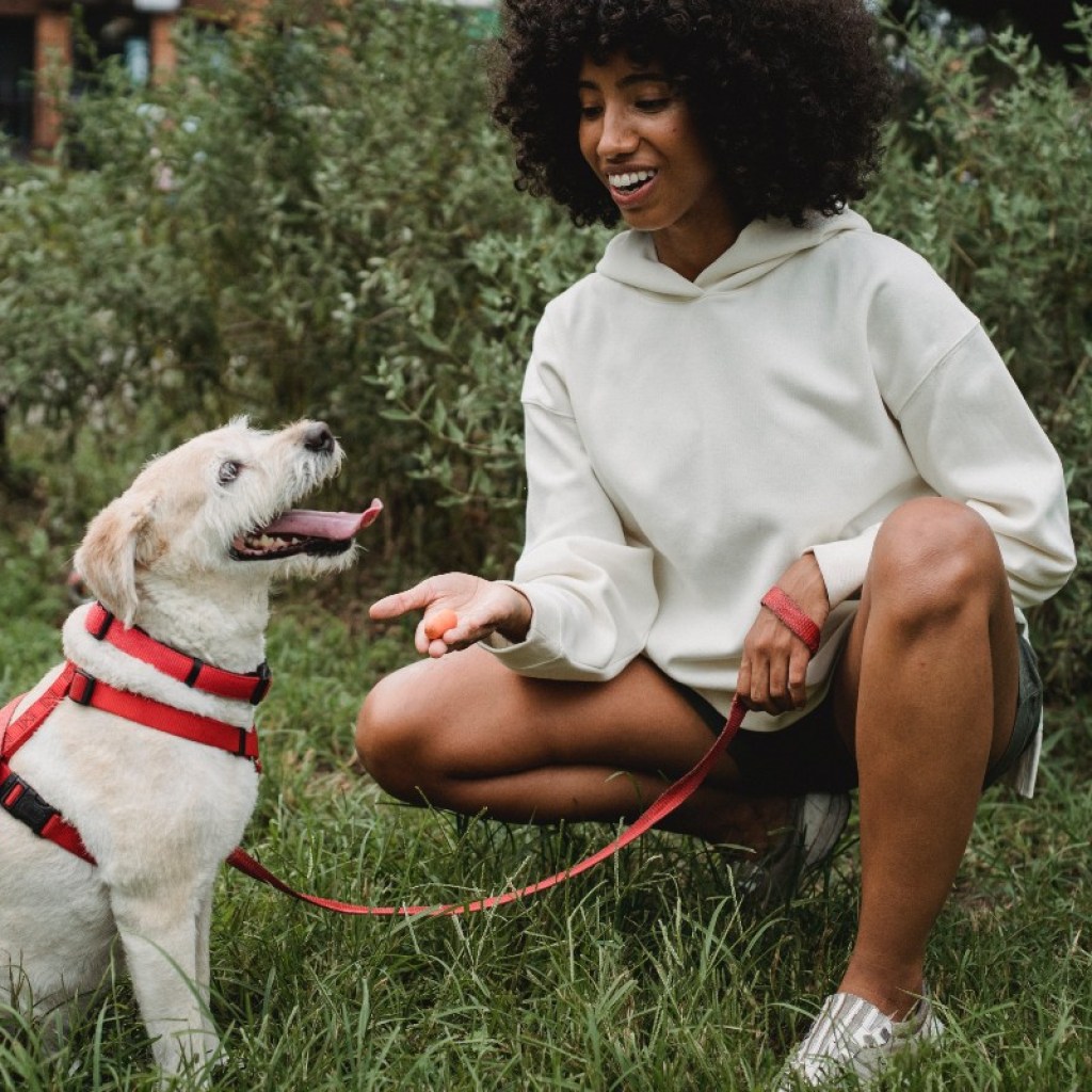 woman teaching a dog to sit outside