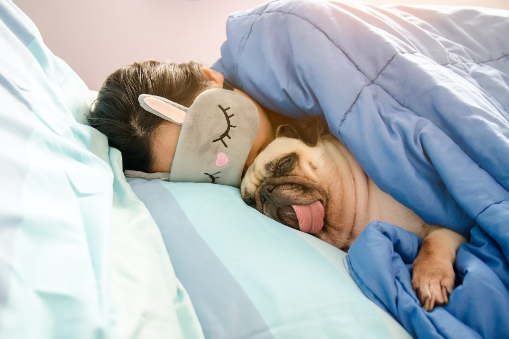 A woman wearing a sleep mask over her eyes snuggles a Pug with his tongue out in bed