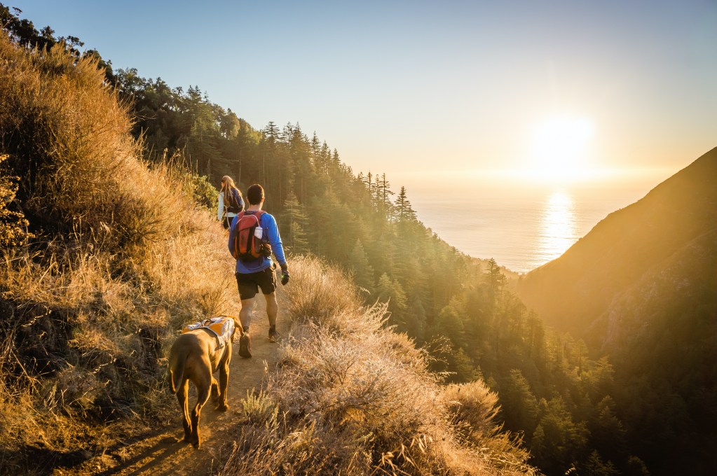 A man, a woman, and a dog hike in the hills overlooking the ocean